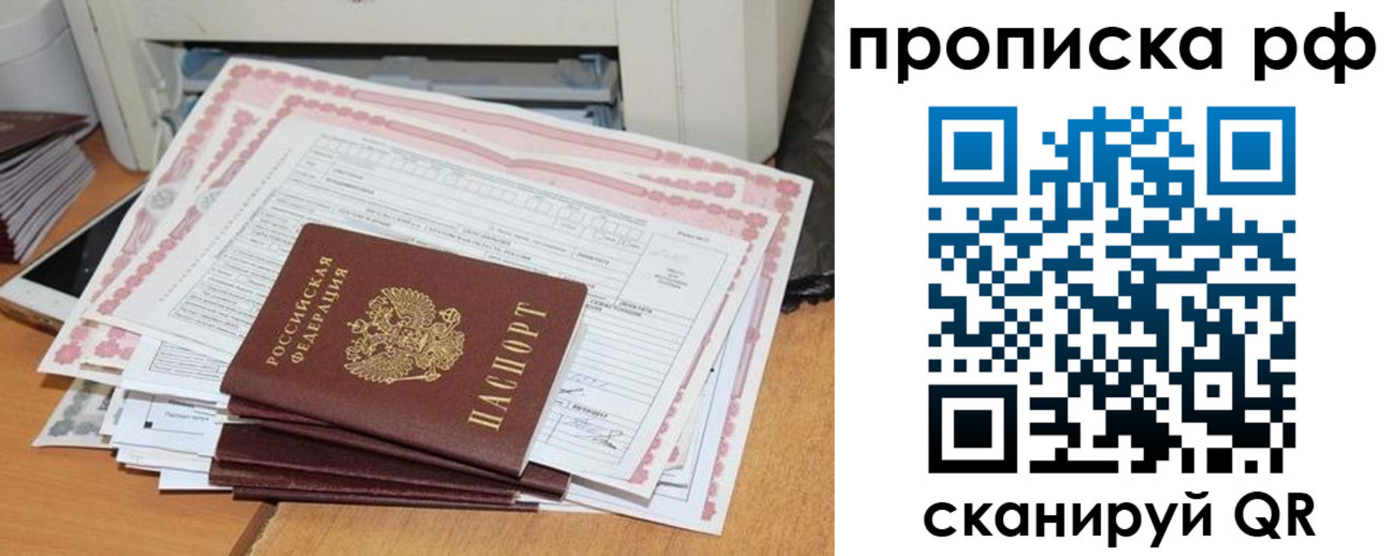 прописка гарантия в Порхове